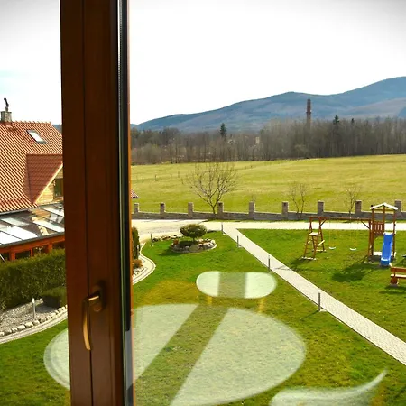 Dom Z Bali Bed & Breakfast