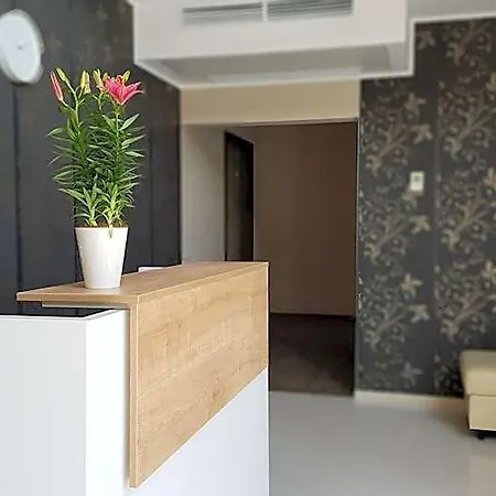 Dom Z Bali 住宿加早餐酒店